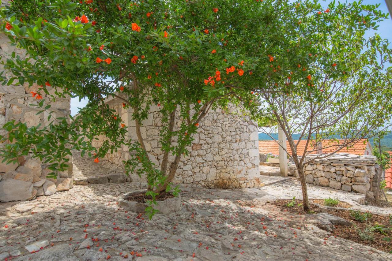 Vila Dalmatian Stone House Rogoznica  Exteriér fotografie